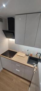 a kitchen with a sink and a counter top at Apartament Koszutka - 100m od Spodka in Katowice