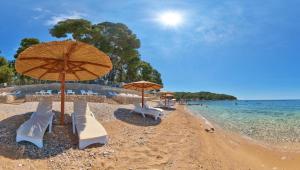 una spiaggia con sedie e ombrelloni e l'oceano di Losinj Glamping - Camp Čikat - Wild a Mali Lošinj (Lussinpiccolo)