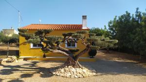 a tree in front of a yellow house at Casa Eli in L'Ampolla