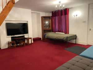 a living room with a large television and a red carpet at Lovely Calm Independent Home in Belvedere