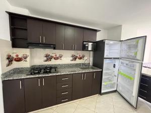 Kuchyň nebo kuchyňský kout v ubytování Penthouse San Rafael