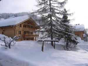 Chalet Le Grand-Bornand, 7 pièces, 14 personnes - FR-1-467-64 under vintern