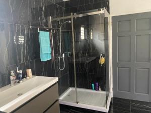 a bathroom with a shower with a sink and a tub at The Beach House and 2 appartments for full or separate rental, all with a private beach in Oranjestad +36 photos