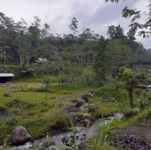 Gambar di galeri bagi Exorcism Camp di Bukittinggi