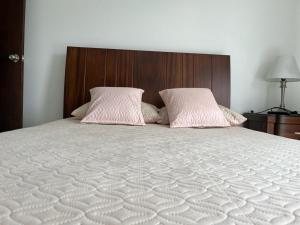 Postel nebo postele na pokoji v ubytování Penthouse San Rafael