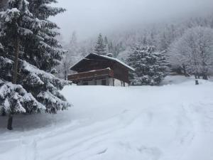 a house covered in snow in front of trees at Grand Chalet au pays du Mont Blanc in Vallorcine