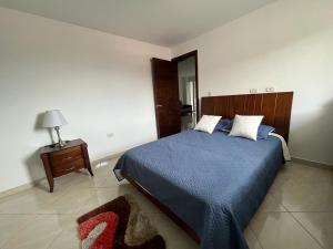 Postel nebo postele na pokoji v ubytování Penthouse San Rafael