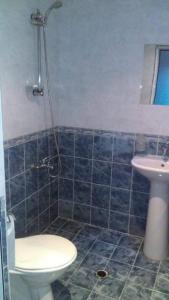 ドブリニシュテにあるDjolevi Guesthouseのバスルーム(トイレ、洗面台付)