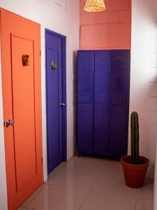 un pasillo con tres puertas azules y un cactus en Lolas Hostal (Hab. privada) baño compartido, en San José