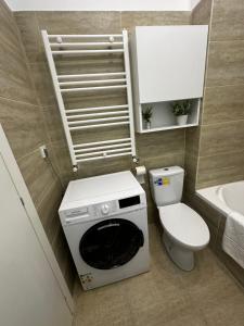 Luxury Studio 7 في Roşu: حمام صغير مع غسالة ملابس بجانب مرحاض