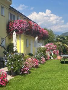 Fotografia z galérie ubytovania Gartenhof v destinácii Bressanone
