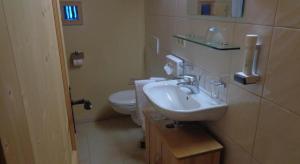 a bathroom with a sink and a toilet at Naze`s Hus Mellau in Mellau