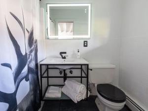 a bathroom with a toilet and a sink and a mirror at The Alander in Copake