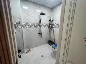 ein Bad mit einer Dusche und einem WC in der Unterkunft Astara Park White House in Astara