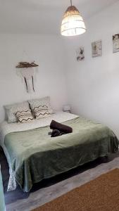 1 dormitorio con 1 cama con manta verde en Le Cocon de L'Horme 30 min LYON Parking privé, en LʼHorme