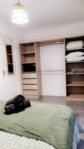 1 dormitorio con 1 cama verde grande y armario en Le Cocon de L'Horme 30 min LYON Parking privé, en LʼHorme