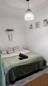una camera con un letto e una coperta verde di Le Cocon de L'Horme 30 min LYON Parking privé a LʼHorme