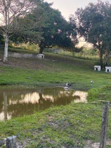 Ogród w obiekcie Sítio Caminho das Acácias