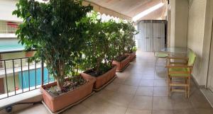 a row of potted trees sitting on a balcony at Filoxenia Panormou in Athens