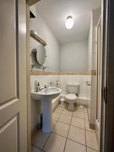 a bathroom with a sink and a toilet at Stunning City Centre Apartments in Waterford