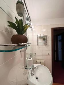 uma casa de banho com um lavatório e uma planta numa prateleira em Delizioso appartamento nelle Dolomiti em Madonna di Campiglio