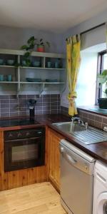 a kitchen with a sink and a stove at Cosy two bedroom lodge on the edge of Raheen Woods in Tuamgraney