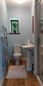 een badkamer met een toilet en een wastafel bij Cosy two bedroom lodge on the edge of Raheen Woods in Tuamgraney