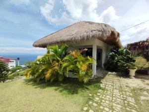 a small house with a thatched roof at SCIA Hills Exclusive 25pax WiFi Netflix HBO Videoke Pool in Oslob