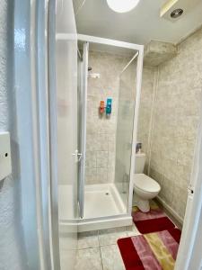 a bathroom with a shower and a toilet at Ground floor Studio Flat In London in London