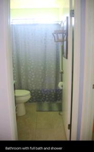 a bathroom with a toilet and a shower with a shower curtain at Komohana Hale LLC in Kailua-Kona