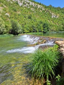 a river with rapids and grass on the bank at Casa alla Cascata Lučica, Korana in Karlovac