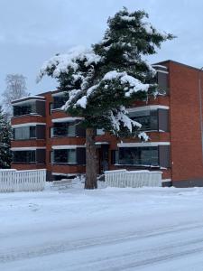 a snow covered tree in front of a building at Yksiö keskustassa saunalla in Iisalmi