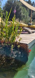 a wooden deck with plants on top of the water at Gîte du Puy in Saint-Fortunat-sur-Eyrieux