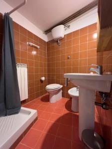 uma casa de banho com um WC e um lavatório em Art apartment Alla casa del Gastaldo em Gorizia