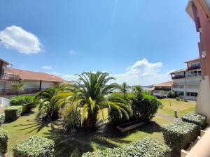 eine Gruppe von Palmen im Innenhof in der Unterkunft Charmant T2 avec Piscine Proche Plage et Lac à Vieux Boucau - FR-1-239-981 in Vieux-Boucau-les-Bains