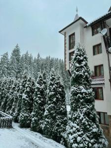 un grupo de árboles nevados frente a un edificio en Castle Romance - Pamporovo, en Pamporovo