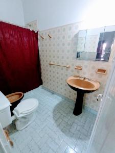 ein Bad mit einem WC und einem Waschbecken in der Unterkunft Casa Antigua 'LEON' in Mendoza