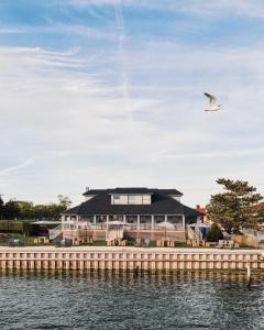 una casa en el agua con un pájaro volando sobre ella en The Inn Spot, en Hampton Bays