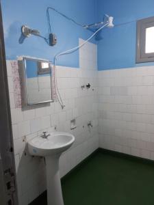 ein Bad mit einem Waschbecken und einem Spiegel in der Unterkunft Martin Barroso in Yacuiba