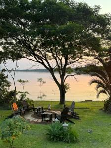 una mesa de picnic y sillas bajo un árbol cerca del agua en BRISAS del Lago - Iguazu en Puerto Bossetti