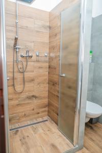 a shower with a glass door in a bathroom at Vilka Viktorka in Velké Losiny