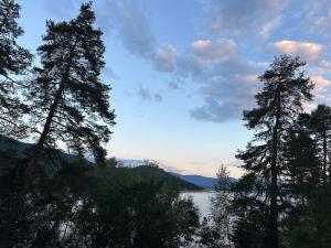 a view of a lake between two tall trees at Daf Trans Hotel in Peshtera