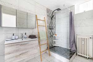 ein Bad mit einer Dusche, einem Waschbecken und einer Leiter in der Unterkunft Le Steel-Appart Cosy tout neuf-WIFI-NETFLIX in Terrenoire