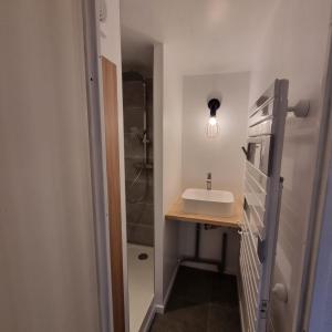 a bathroom with a sink and a shower at APPARTEMENT 310 ECRIN D'HUEZ in L'Alpe-d'Huez