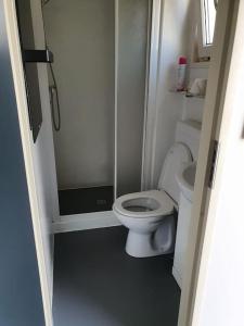 ein kleines Bad mit einem WC und einer Dusche in der Unterkunft Chalet Overtime in Buren