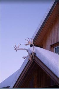 a plant on the roof of a house at Villa Nestun - secluded oasis near Tromsø city in Selnes