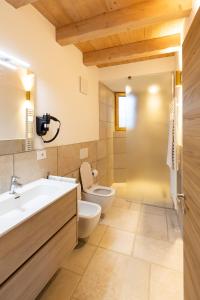 a bathroom with a sink and a toilet and a shower at GARDA BALDO APARTMENTS in Nago-Torbole