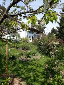 a house in the middle of a garden at Chez Cathy in Arzier