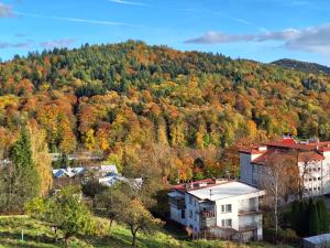 Príroda v okolí apartmánu