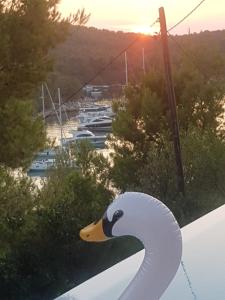 a view of a marina with a swan sign at Apartments Villa Sonia & Teo Hvar in Hvar